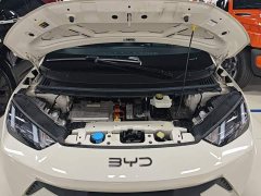 BYD Seagull Glory Edition 305km Vitality Version - ფოტო 20