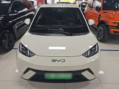 BYD Seagull Glory Edition 305km Vitality Version - ფოტო 3