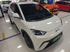 BYD Seagull Glory Edition 305km Vitality Version - ფოტო 4