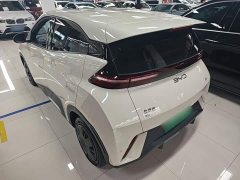 BYD Seagull Glory Edition 305km Vitality Version - ფოტო 5