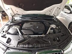 BMW 5 Series Facelift 525Li M Sport Package - ფოტო 20