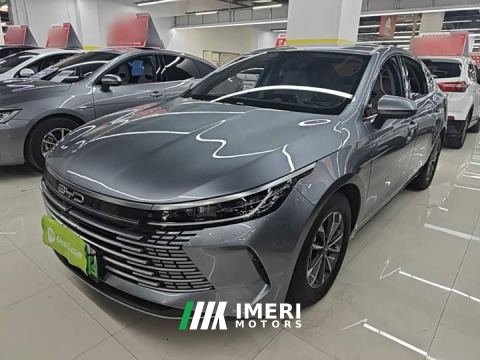 2024 BYD Destroyer 05 Glory Edition DM-i 55KM Luxury