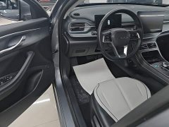 BYD Destroyer 05 Glory Edition DM-i 55KM Luxury - ფოტო 16