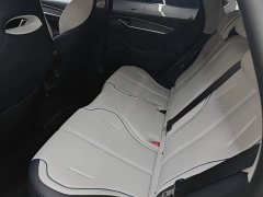 BYD Destroyer 05 Glory Edition DM-i 55KM Luxury - ფოტო 17