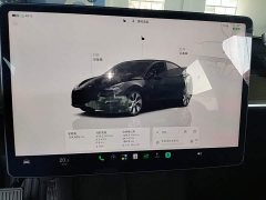 Tesla Model Y Long Range All-Wheel Drive - ფოტო 12