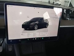 Tesla Model Y Long Range All-Wheel Drive - ფოტო 13