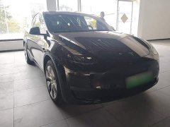 Tesla Model Y Long Range All-Wheel Drive - ფოტო 4