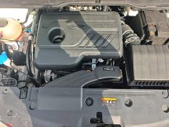 Geely Bingyue 2021 1.4T DCT Diamond Edition - ფოტო 20