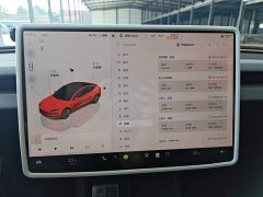 Tesla Model 3 Long Range All-Wheel Drive - ფოტო 12