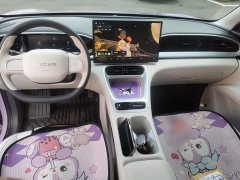 Geely Star Wish 410km Freedom Edition - ფოტო 10
