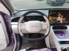 Geely Star Wish 410km Freedom Edition - ფოტო 11