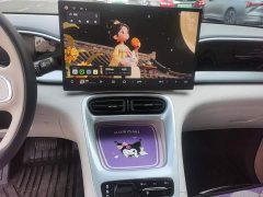 Geely Star Wish 410km Freedom Edition - ფოტო 13