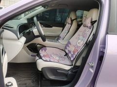 Geely Star Wish 410km Freedom Edition - ფოტო 15