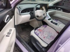 Geely Star Wish 410km Freedom Edition - ფოტო 16