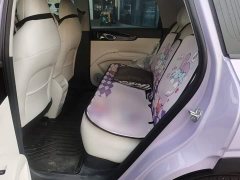 Geely Star Wish 410km Freedom Edition - ფოტო 17