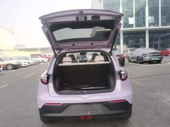 Geely Star Wish 410km Freedom Edition - ფოტო 19