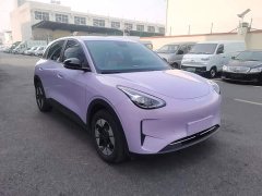 Geely Star Wish 410km Freedom Edition - ფოტო 4