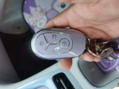 Geely Star Wish 410km Freedom Edition - ფოტო 9