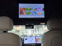 Li Auto L9 2023 Pro - ფოტო 18