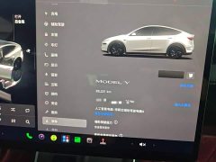 Tesla Model Y Rear-Wheel Drive - ფოტო 12