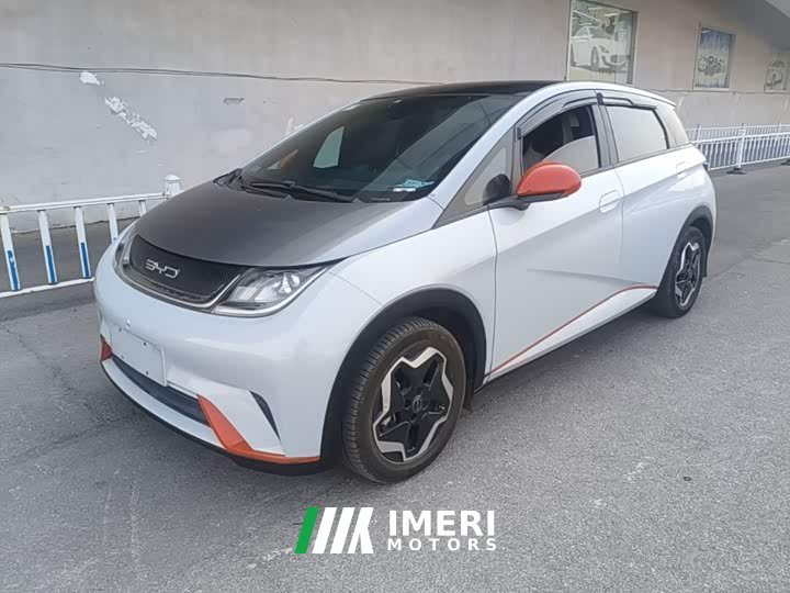 BYD Dolphin 405km Fashion Edition - ავტომობილი ჩინეთიდან