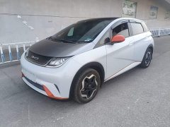 BYD Dolphin 405km Fashion Edition - ფოტო 1