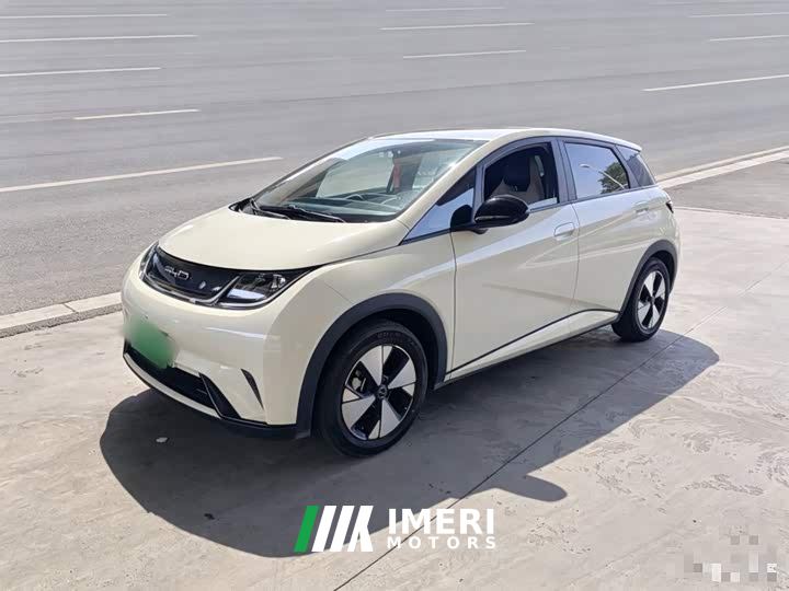 BYD Dolphin 420km Freedom Edition