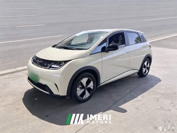 BYD Dolphin 420km Freedom Edition