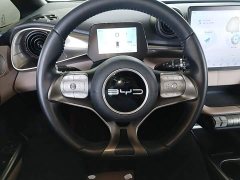 BYD Dolphin 420km Freedom Edition - ფოტო 11