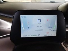 BYD Dolphin 420km Freedom Edition - ფოტო 12