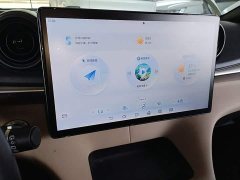BYD Dolphin 420km Freedom Edition - ფოტო 13
