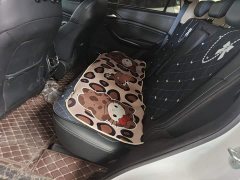BYD Song 2021 Classic 1.5T Manual Luxury - ფოტო 17