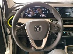 Changan Benben E-Star 2020 Heartbeat Edition Ternary Lithium - ფოტო 11