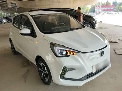 Changan Benben E-Star 2020 Heartbeat Edition Ternary Lithium - ფოტო 4