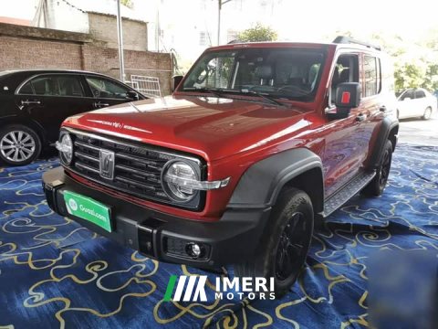 2021 Tank 300 Off-Road Edition 2.0T Conqueror - ავტომობილი ჩინეთიდან