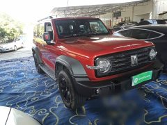 Tank 300 Off-Road Edition 2.0T Conqueror - ფოტო 4
