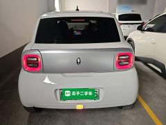 Ora Black Cat 351km Standard Edition Ternary Lithium - ფოტო 6