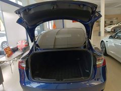 Tesla Model 3 Standard Range RWD Upgrade - ფოტო 19
