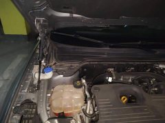 Ford EVOS EcoBoost 245 ST-Line - ფოტო 19