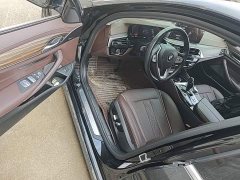 BMW 5 Series 530Li Premier Luxury Package - ფოტო 16