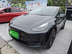 Tesla Model Y Rear-Wheel Drive - ფოტო 1
