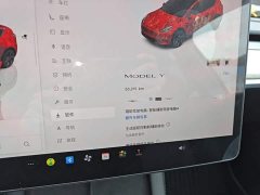 Tesla Model Y Rear-Wheel Drive - ფოტო 12