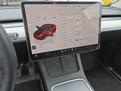 Tesla Model Y Rear-Wheel Drive - ფოტო 13