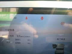 Baojun Yueye Plus 301km Flagship Edition - ფოტო 12