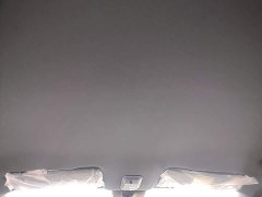 Baojun Yueye Plus 301km Flagship Edition - ფოტო 18