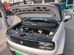 Baojun Yueye Plus 301km Flagship Edition - ფოტო 20