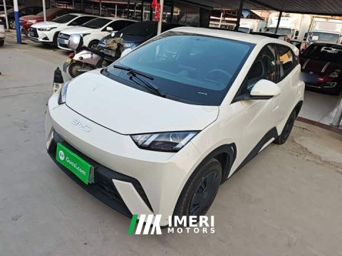 2024 BYD Seagull 305km Vitality Edition - car from China