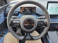 BYD Seagull 2025 305km Vitality Edition - ფოტო 11