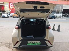 BYD Seagull 2025 305km Vitality Edition - ფოტო 19
