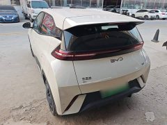 BYD Seagull 2025 305km Vitality Edition - ფოტო 5